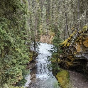 Meet your Posher, Kat